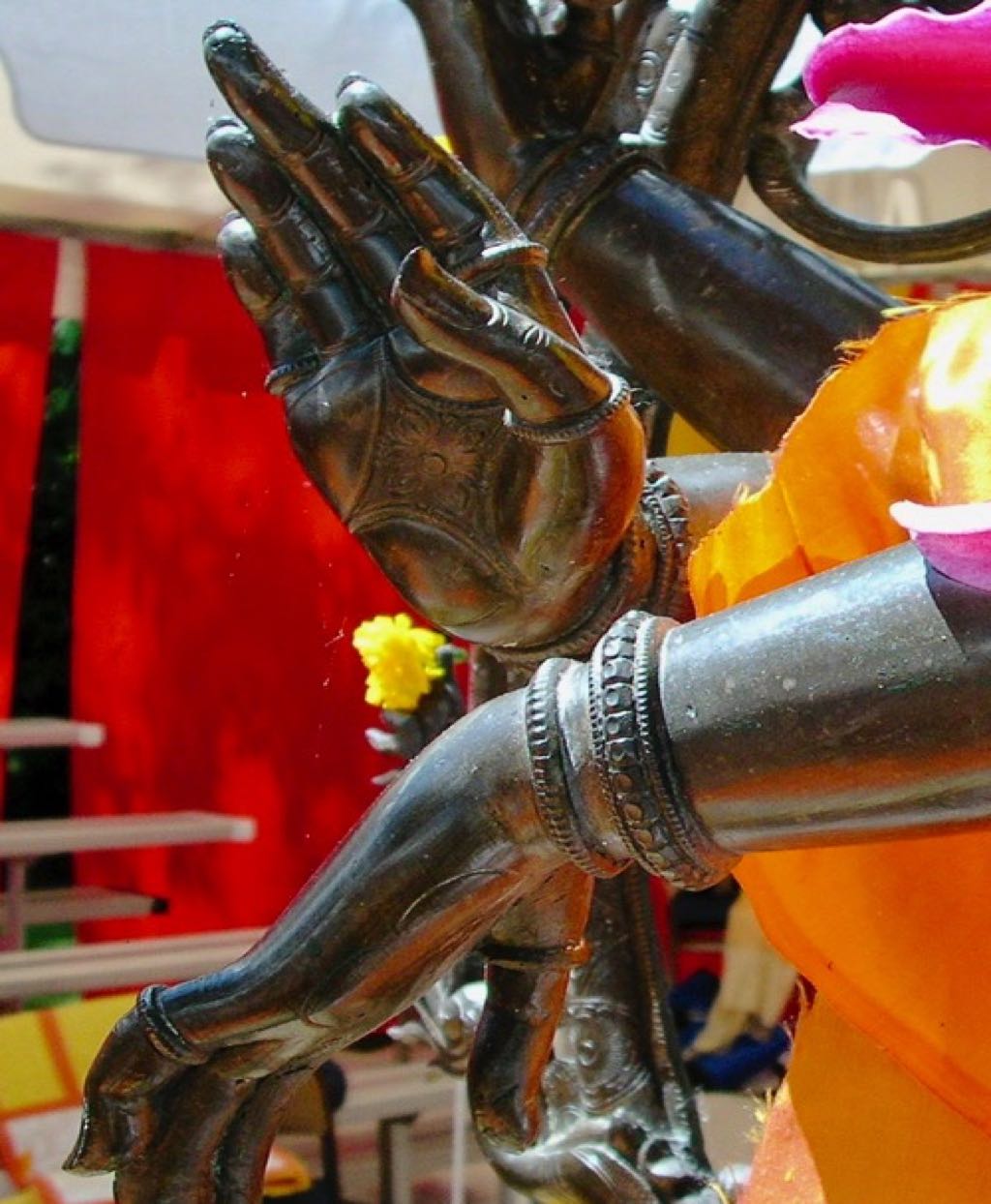 Chetanananda_DSCN7318
